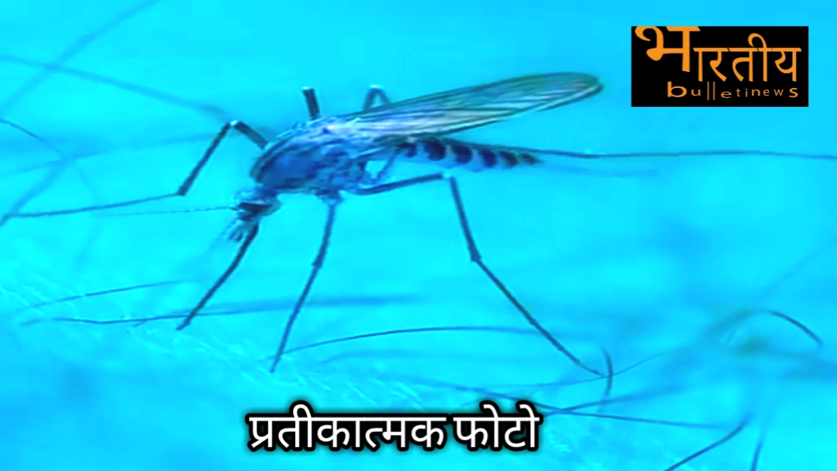 Zika virus की वैक्सीन न होने के कारण जीका को फैलने से रोकने का एक आसान तरीका है कि एडीज मच्छर को फैलने से रोकना। यदि एडीज मच्छर नहीं काट पाएगा तो जीका नहीं फैल पाएगा।