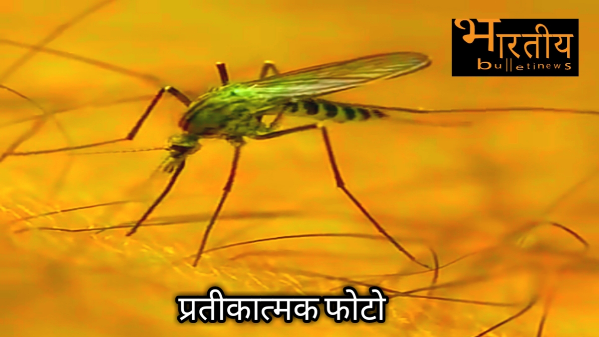 Zika virus की वैक्सीन न होने के कारण जीका को फैलने से रोकने का एक आसान तरीका है कि एडीज मच्छर को फैलने से रोकना। यदि एडीज मच्छर नहीं काट पाएगा तो जीका नहीं फैल पाएगा। 