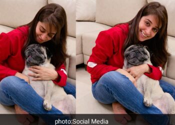 Dipika Kakar सोशल मीडिया पर शेयर करें इमोशनल पोस्ट भावुक दिखी दीपिका। कहा, नहीं पता था कि वुड के साथ ये मेरी आखिरी तस्वीर होगी।