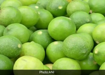 जहां एक तरफ पेट्रोल और डीजल के दामों में बेतहाशा आग लगी पडी है,वहीं अब नींबू (Lemon price today)भी इस लिस्ट में सबसे ऊपर आ पहुंचा है।