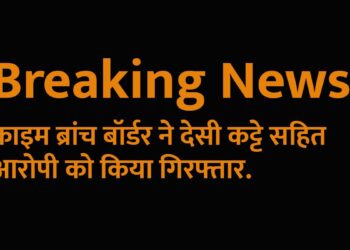 क्राइम ब्रांच बॉर्डर ने देसी कट्टे सहित आरोपी को किया गिरफ्तार.